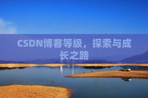 CSDN博客等级，探索与成长之路